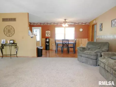 109 E Ctr, Rio, IL 61472 photo 12