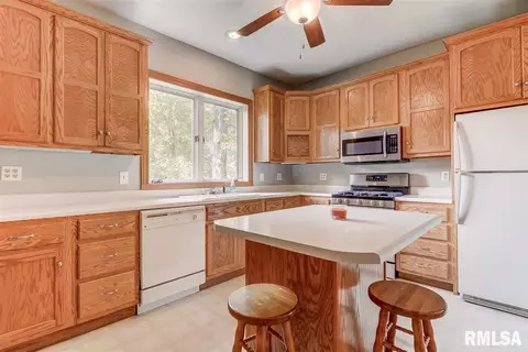 321 S Douglas Ave, Springfield, IL 62704 photo 15