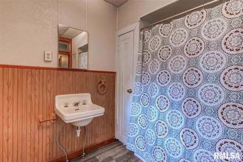 321 S Douglas Ave, Springfield, IL 62704 photo 25