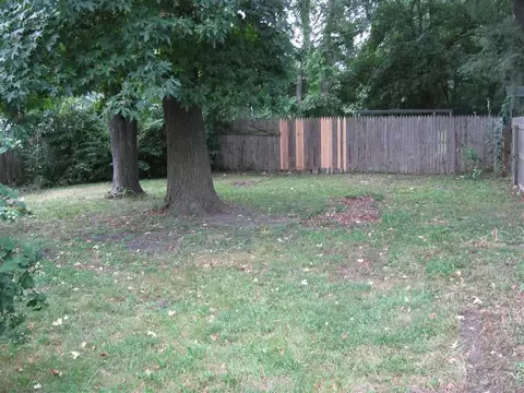 1617 Wolfe St, Springfield, IL 62702 photo 4