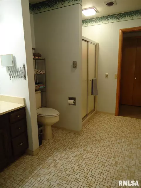 232 E Springfield St, Virginia, IL 62691 photo 18