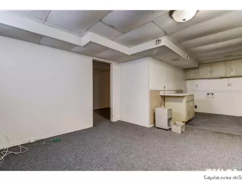 1215 W Ash St, Springfield, IL 62704 photo 16