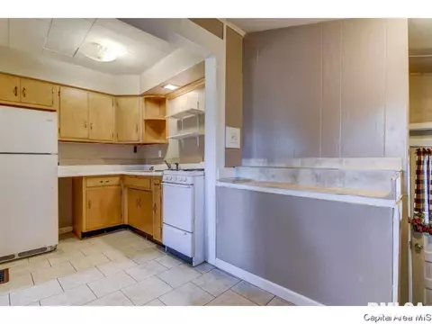 1215 W Ash St, Springfield, IL 62704 photo 7