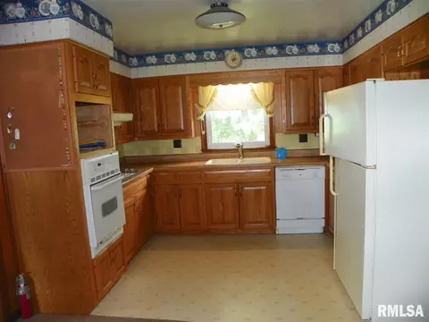 226 N Johnson Flt, Oneida, IL 61467 photo 9