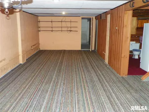 226 N Johnson Flt, Oneida, IL 61467 photo 17