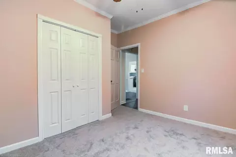 2117 Holmes Ave, Springfield, IL 62704 photo 18
