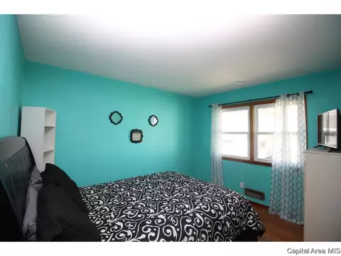 13 Adloff Ln, Springfield, IL 62703 photo 23