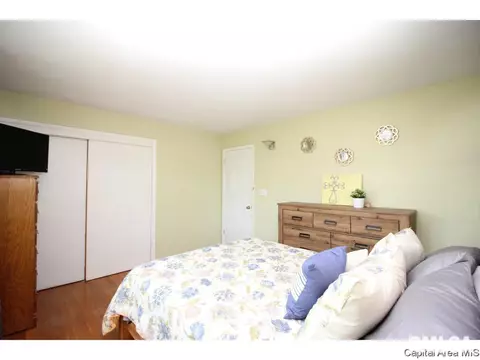 13 Adloff Ln, Springfield, IL 62703 photo 18