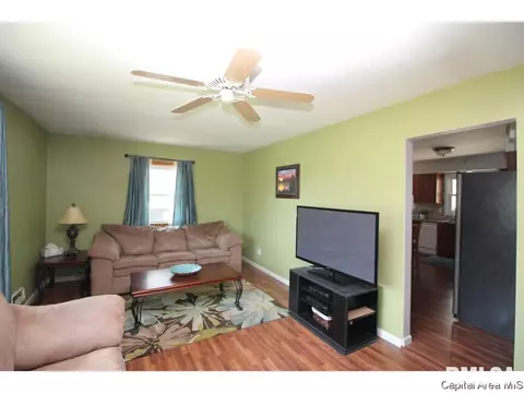 13 Adloff Ln, Springfield, IL 62703 photo 6