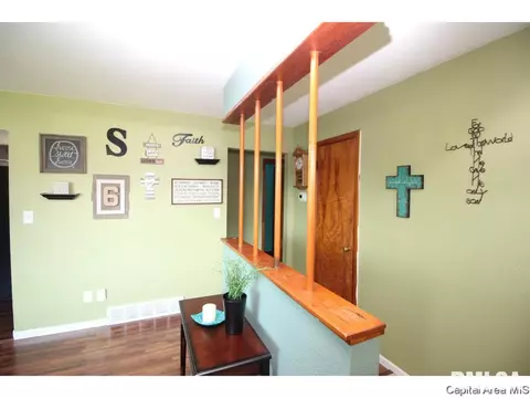 13 Adloff Ln, Springfield, IL 62703 photo 5