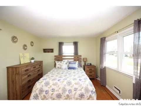13 Adloff Ln, Springfield, IL 62703 photo 17