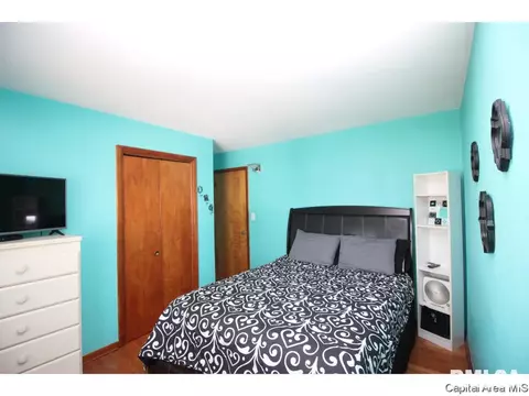 13 Adloff Ln, Springfield, IL 62703 photo 21