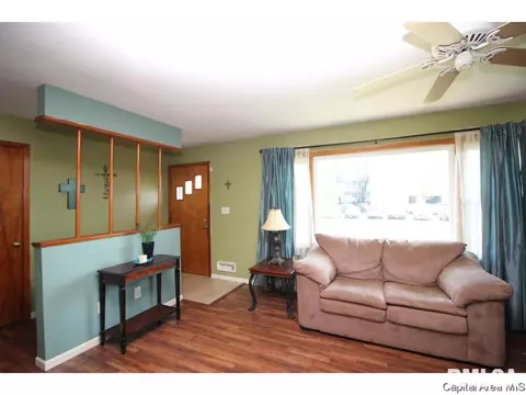 13 Adloff Ln, Springfield, IL 62703 photo 7