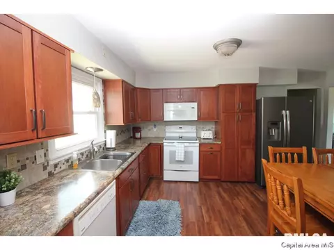 13 Adloff Ln, Springfield, IL 62703 photo 10