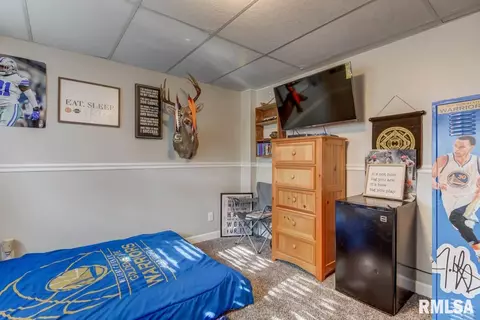 3913 Jonquil Dr, Springfield, IL 62707 photo 29