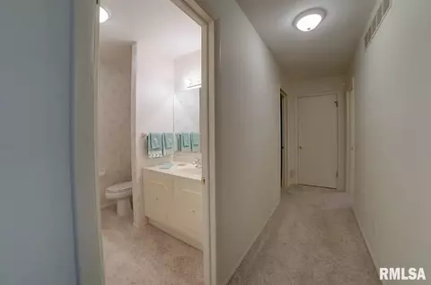 30 Horseshoe Dr, Springfield, IL 62702 photo 17