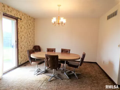 2884 Knox Rd 900 E, Oneida, IL 61467 photo 24