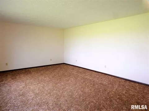 2884 Knox Rd 900 E, Oneida, IL 61467 photo 14