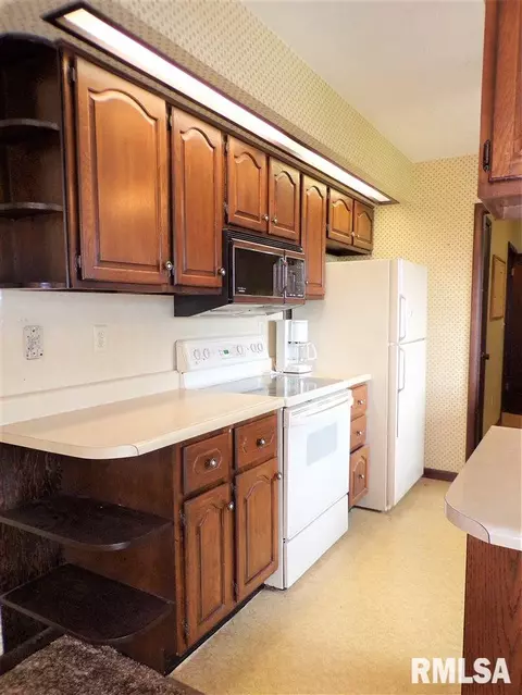 2884 Knox Rd 900 E, Oneida, IL 61467 photo 19