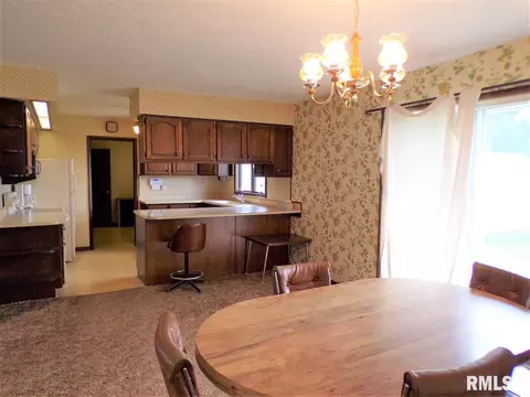 2884 Knox Rd 900 E, Oneida, IL 61467 photo 17