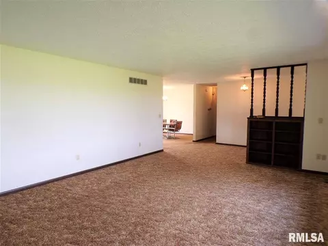 2884 Knox Rd 900 E, Oneida, IL 61467 photo 13