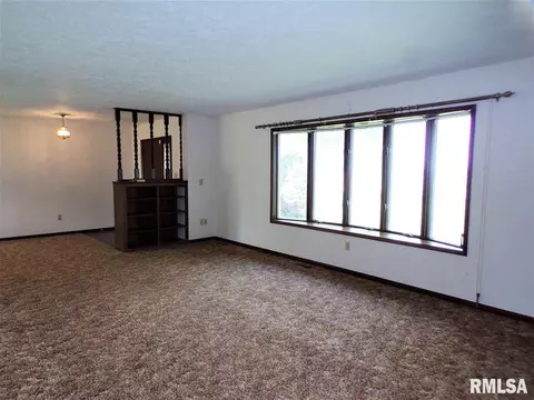 2884 Knox Rd 900 E, Oneida, IL 61467 photo 12