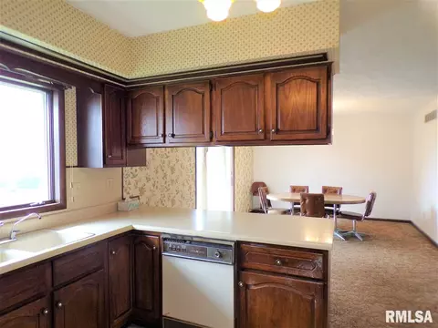 2884 Knox Rd 900 E, Oneida, IL 61467 photo 21