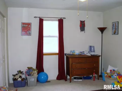 130 E Willard, Wataga, IL 61488 photo 30