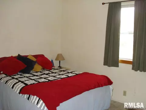 130 E Willard, Wataga, IL 61488 photo 32