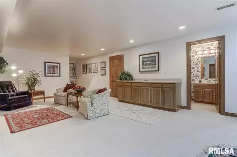 5225 Wildcat Run Dr, Springfield, IL 62711 photo 30