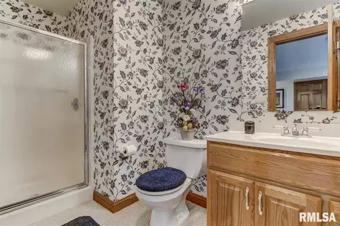 5225 Wildcat Run Dr, Springfield, IL 62711 photo 32