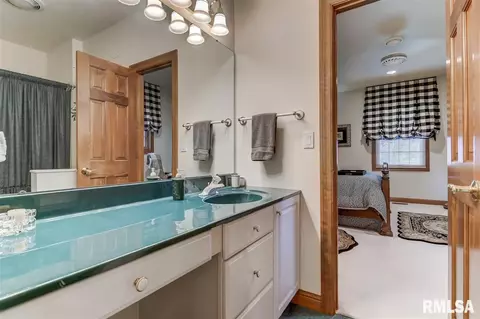 5225 Wildcat Run Dr, Springfield, IL 62711 photo 6