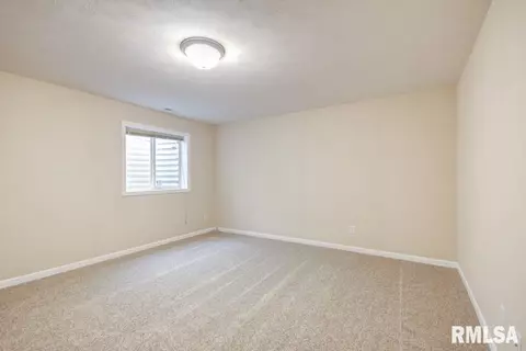 615 Willows Dr, Chatham, IL 62629 photo 27