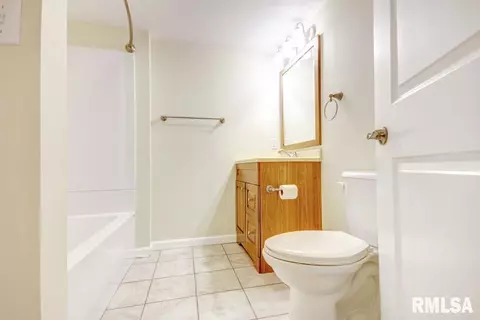 615 Willows Dr, Chatham, IL 62629 photo 21