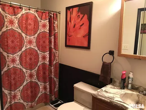 520 N Daniel Ave, Springfield, IL 62702 photo 17