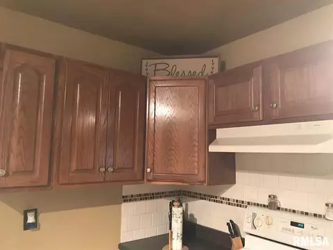 520 N Daniel Ave, Springfield, IL 62702 photo 7