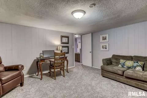 14 Holliday Rd, Springfield, IL 62702 photo 32
