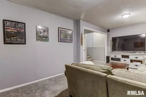 14 Holliday Rd, Springfield, IL 62702 photo 29