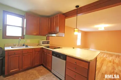 1621 W Enos Ave, Springfield, IL 62702 photo 9