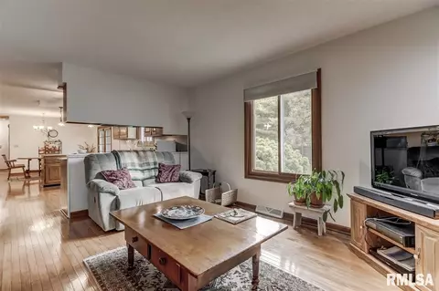 224 Old Tippecanoe Dr, Springfield, IL 62711 photo 13