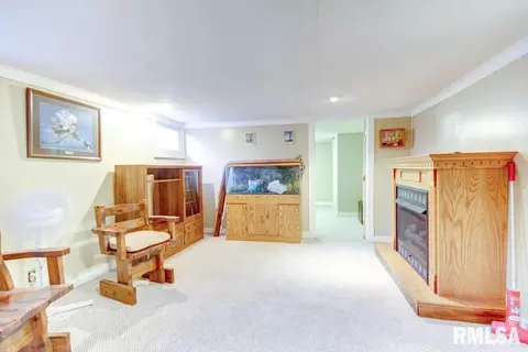 3339 Donna St, Springfield, IL 62707 photo 28