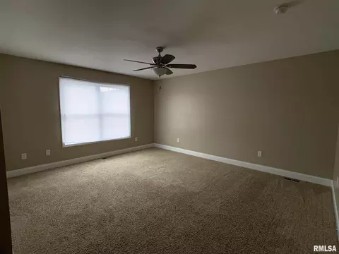 400 E Spruce Dr, Chatham, IL 62629 photo 9