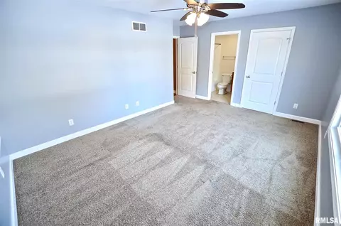 613 E Menard St, Riverton, IL 62561 photo 15
