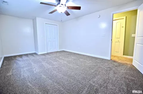 613 E Menard St, Riverton, IL 62561 photo 27