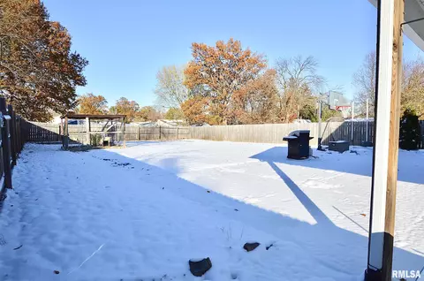 613 E Menard St, Riverton, IL 62561 photo 30