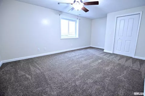 613 E Menard St, Riverton, IL 62561 photo 26