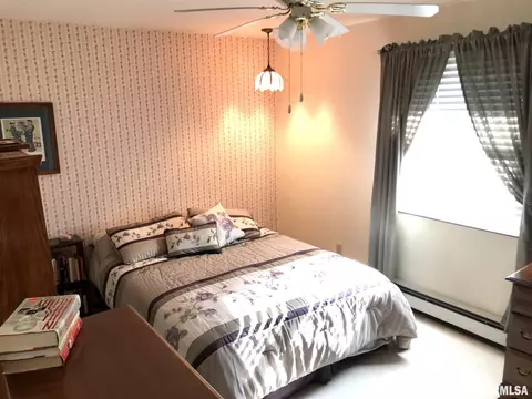 390 E Tanner St, Waverly, IL 62692 photo 25