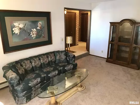 390 E Tanner St, Waverly, IL 62692 photo 18