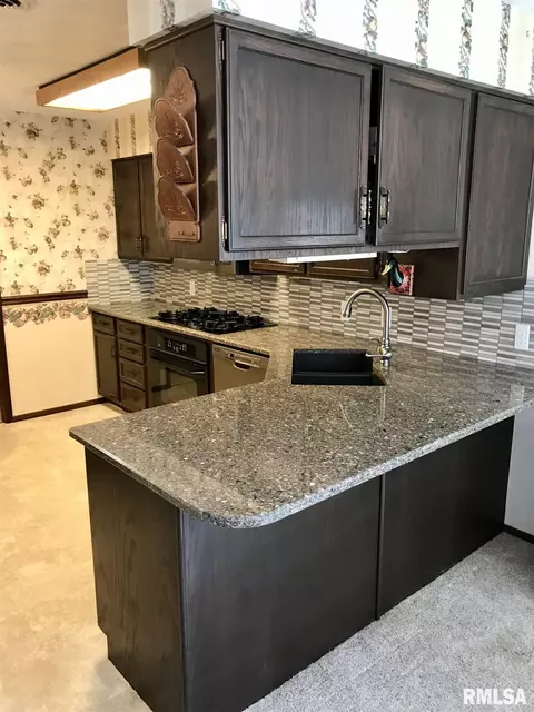 390 E Tanner St, Waverly, IL 62692 photo 10