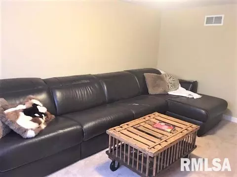 938 N 3rd St, Springfield, IL 62702 photo 15
